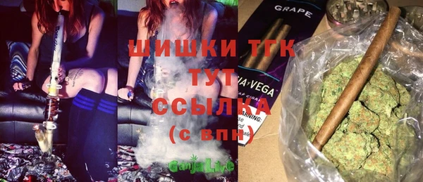 МДПВ Богданович