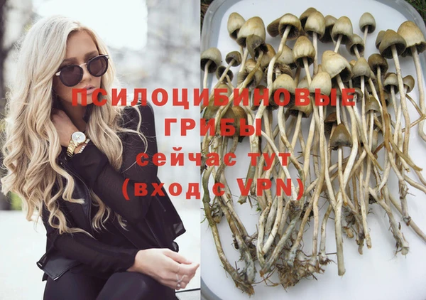 МДМА Богородицк